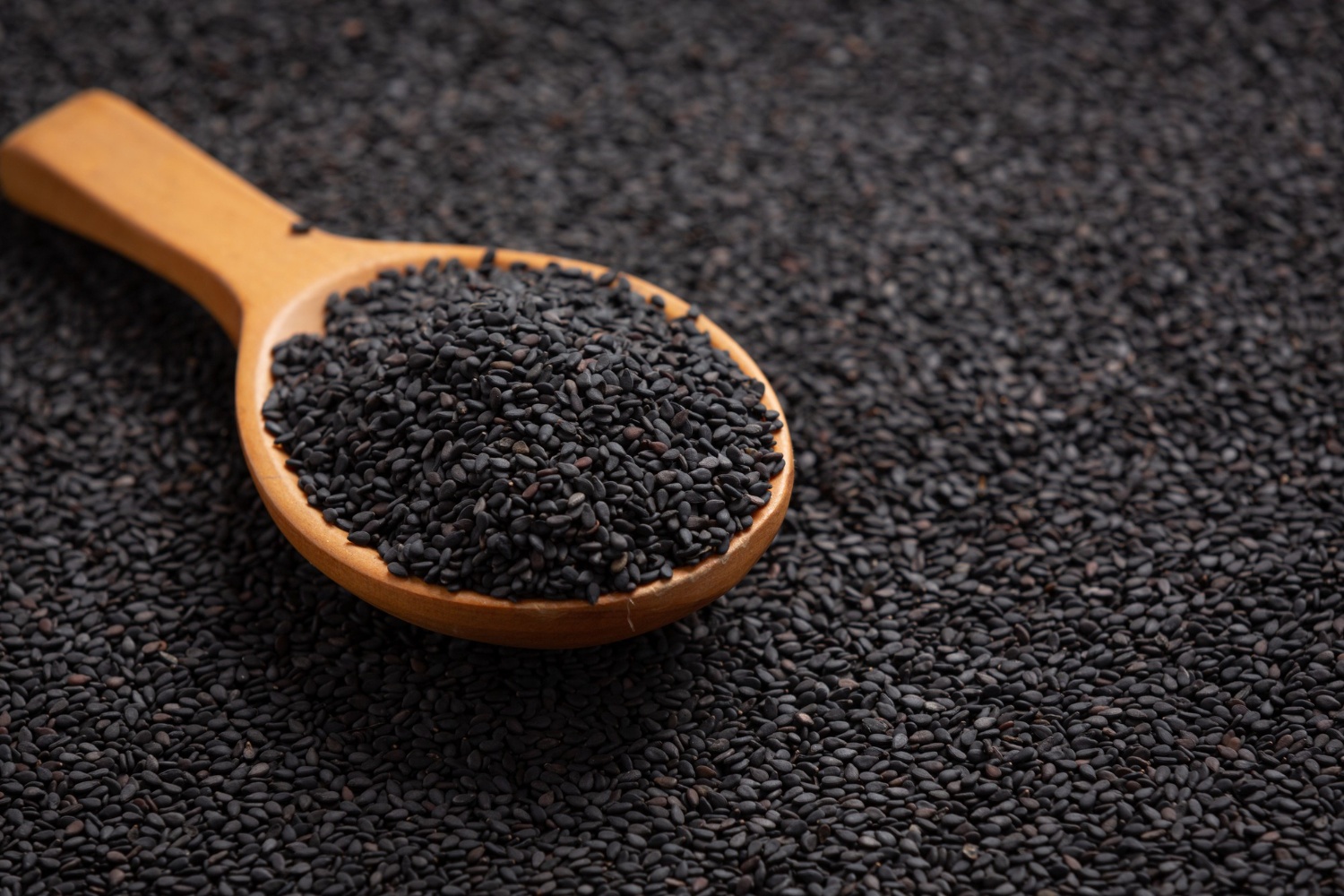 Habbatussauda bisa dikombinasikan dengan herba asli Nusantara. (FREEPIK)