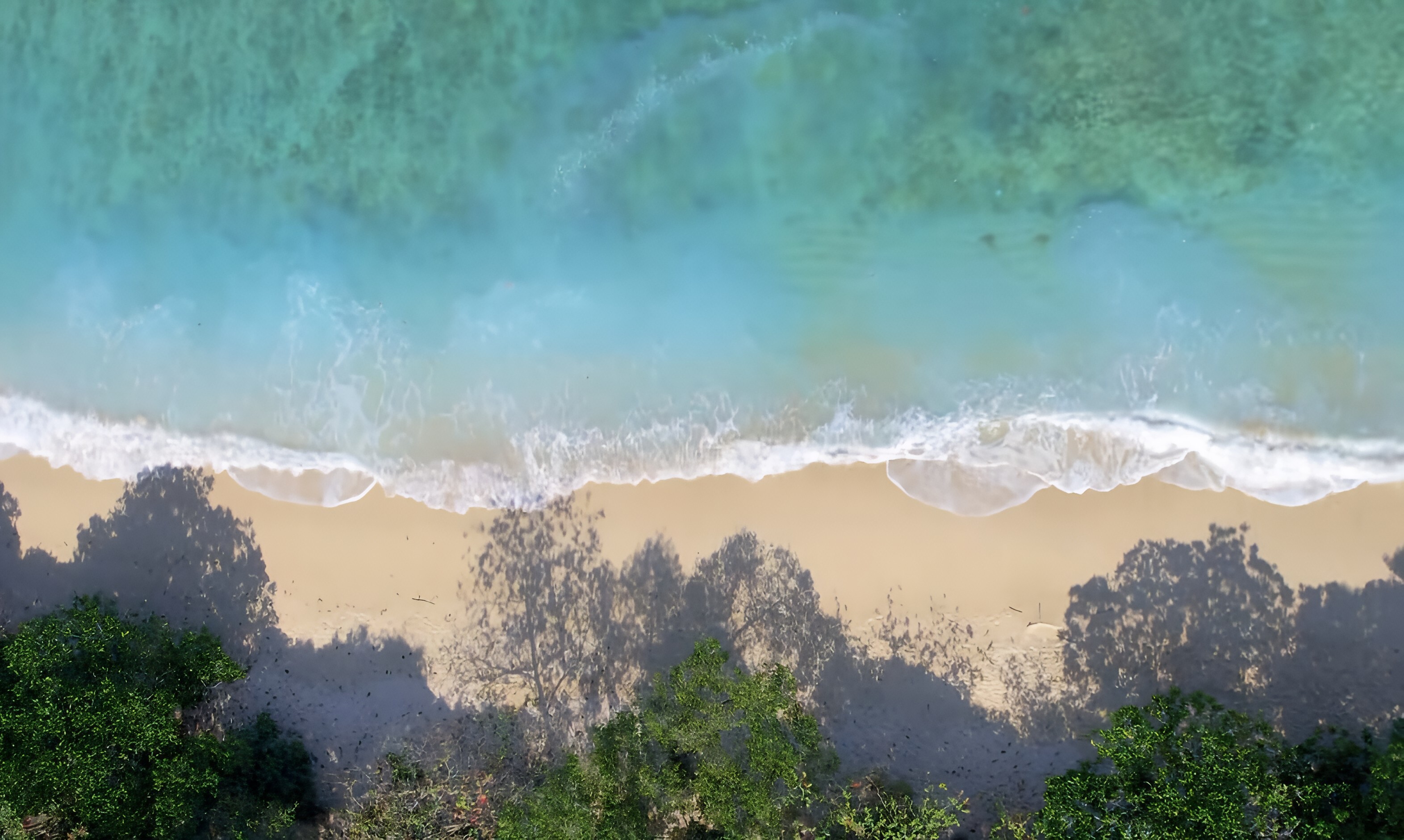 Pantai Gatra di Malang tawarkan keindahan pasir pink tosca dan gugusan karang mirip Raja Ampat. Info tiket, fasilitas, dan aktivitas seru di sini!(tiktok @cmctigawarna3)