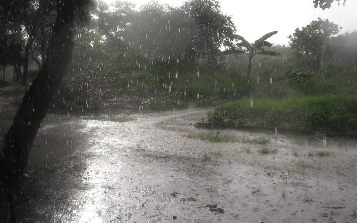 Pernahkah Anda mencium aroma khas yang muncul saat hujan pertama turun setelah lama tidak hujan? Aroma segar ini dikenal dengan istilah petrichor.