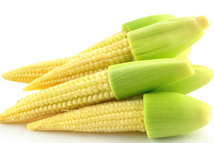 Jagung muda segar, bahan alami yang dipercaya bisa menenangkan kulit dan membantu proses penyembuhan cacar air.