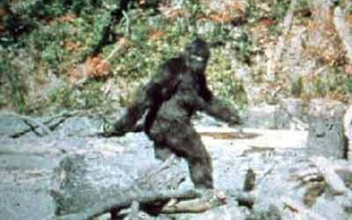 Jejaknya gede, wujudnya misterius. Bigfoot, nyata atau cuma mitos?