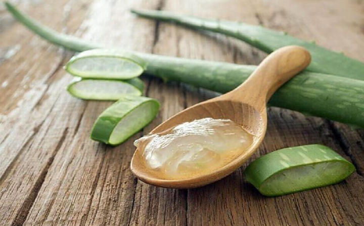 Lidah buaya atau aloe vera sudah dikenal sejak lama sebagai tanaman herbal yang kaya manfaat.