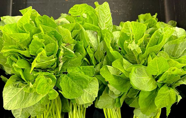 Bayam adalah sayuran hijau yang dikenal sangat menyehatkan karena kaya vitamin, mineral, dan antioksidan.