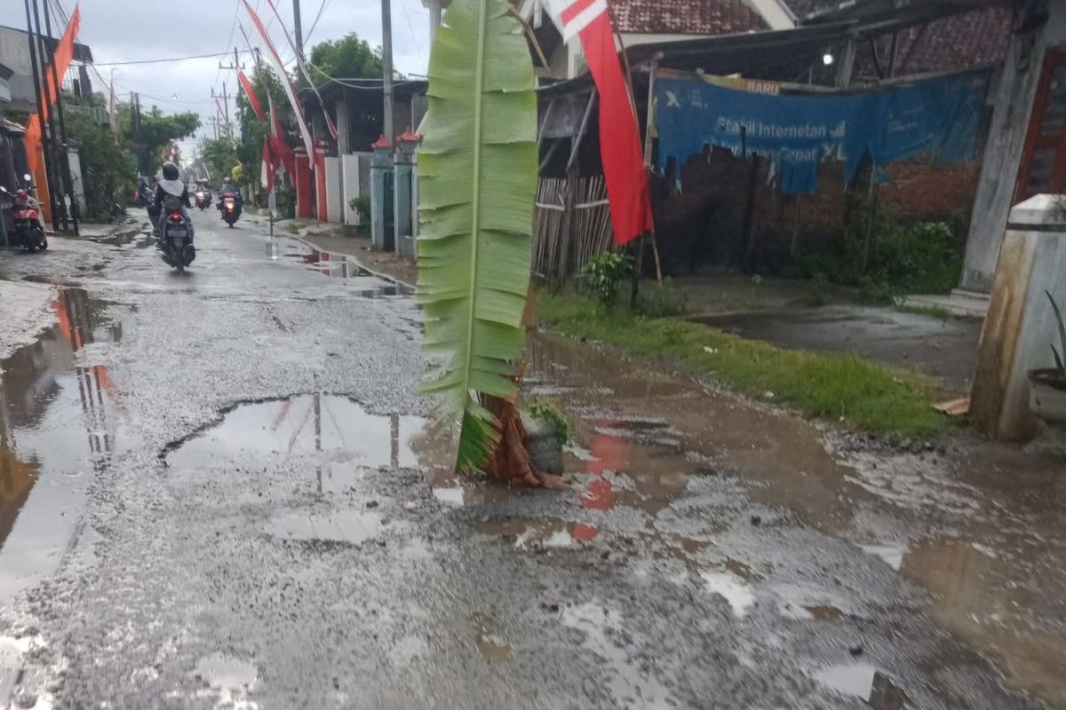 Kondisi jalan di Lingkungan 8 Ngunut, Tulungagung yang rusak ditanami pisang. (FACEBOOK ANDI RIO)