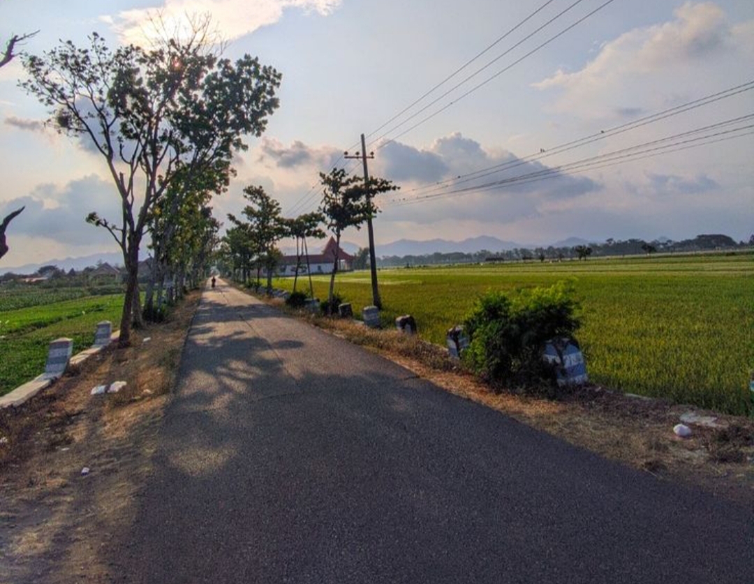 Bagi orang Tulungagung, tinggal di desa bukan berarti ketinggalan zaman. Justru di sanalah mereka menemukan ketenangan, kebersamaan, dan rezeki yang cukup.