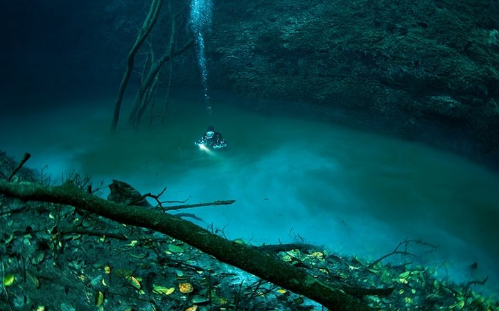 Fenomena unik sungai di dalam laut membuktikan bahwa samudra menyimpan banyak misteri yang menakjubkan.