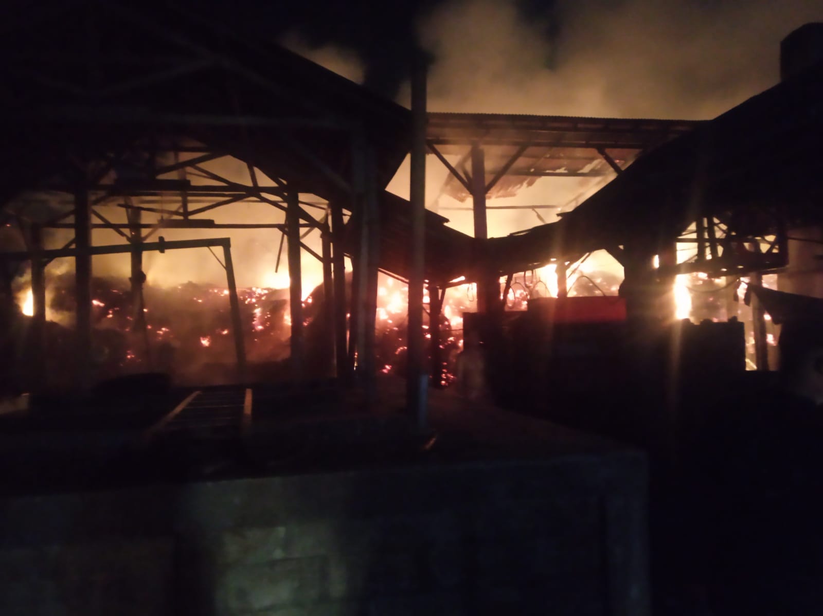 Sepah tebu di pabrik pembuatan gula merah di Desa Sambijajar, Kecamatan Sumbergempol, Tulungagung terbakar pada Kamis malam. (DPKP TULUNGAGUNG)