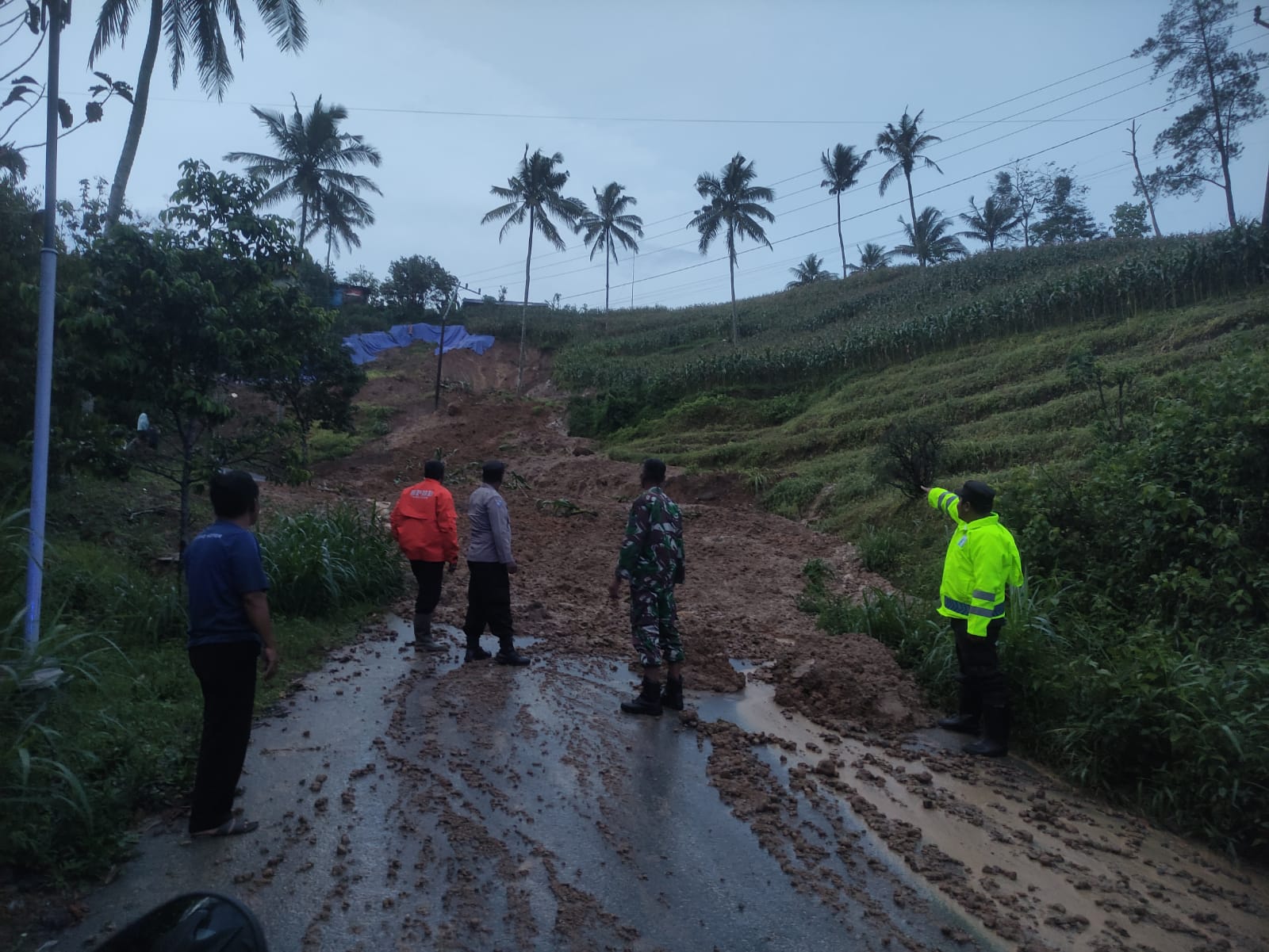 Longsor kembali terjadi di Desa Kradinan, Kecamatan Pagerwojo. (BPBD TULUNGAGUNG)