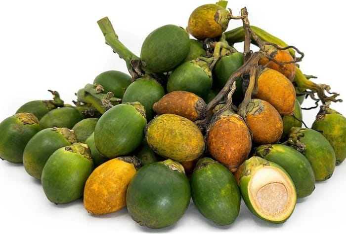 Buah pinang punya banyak manfaat untuk kesehatan.