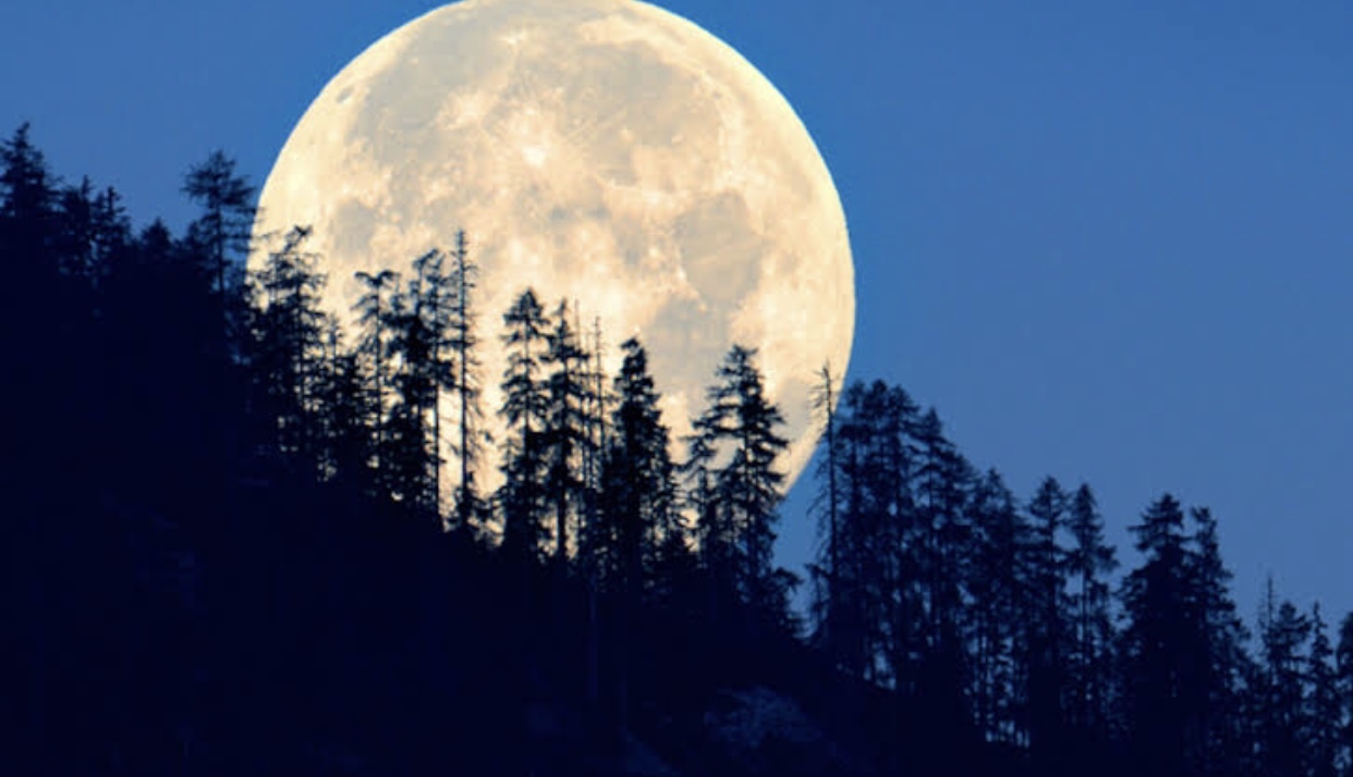 Bulan November 2025 dipenuhi berbagai fenomena langit menarik, mulai dari Supermoon terbesar tahun ini hingga dua hujan meteor yang bisa disaksikan di langit Indonesia.(Media Indonesia)