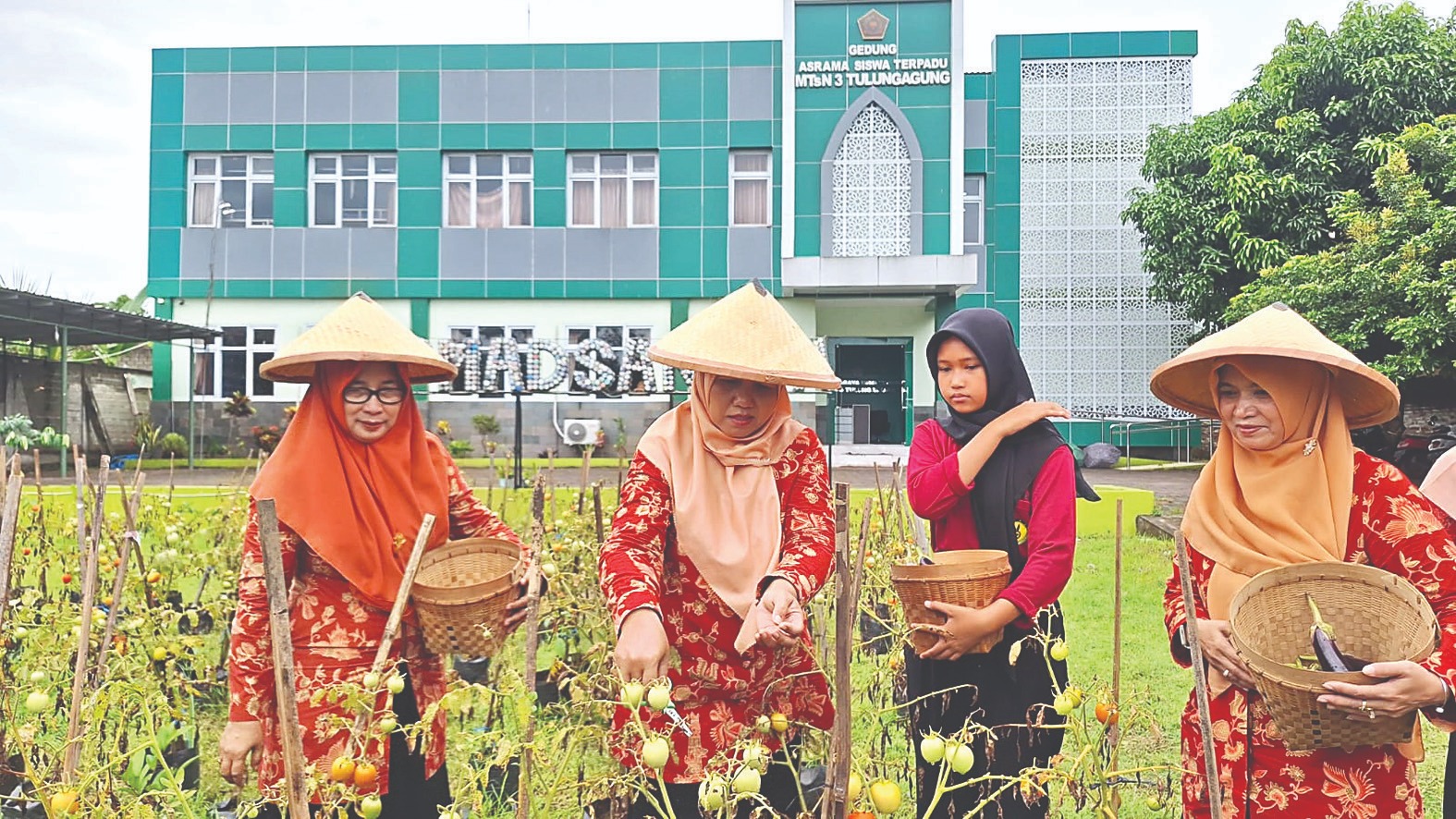 Ketua DWP Kemenag Tulungagung dan DWP MTsN 3 Tulungagung memanen hasil kebun. (ARMI HARJO/RADAR TULUNGAGUNG)