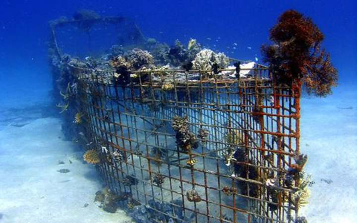 Besi yang tenggelam di laut tak hanya tahan karat, tetapi juga berubah menjadi hunian baru bagi ikan dan organisme laut.