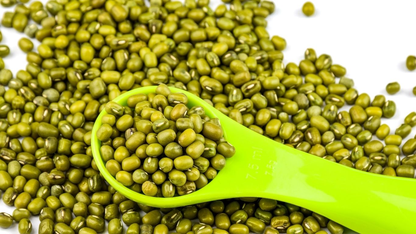 Kacang hijau punya banyak manfaat bagi kesehatan tubuh.(freepik.com/ilovehz)
