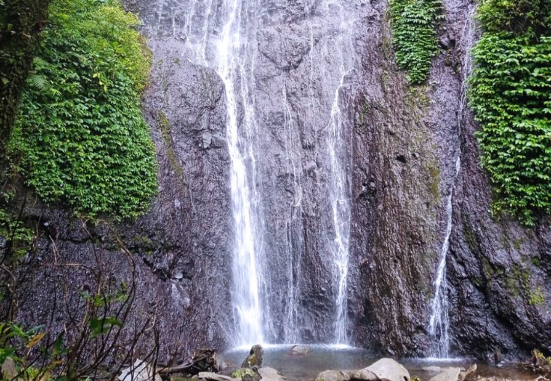 Tulungagung juga menyimpan berbagai destinasi alam yang masih jarang dijamah. Salah satu permata tersembunyi itu adalah Air Terjun Jurang senggani
