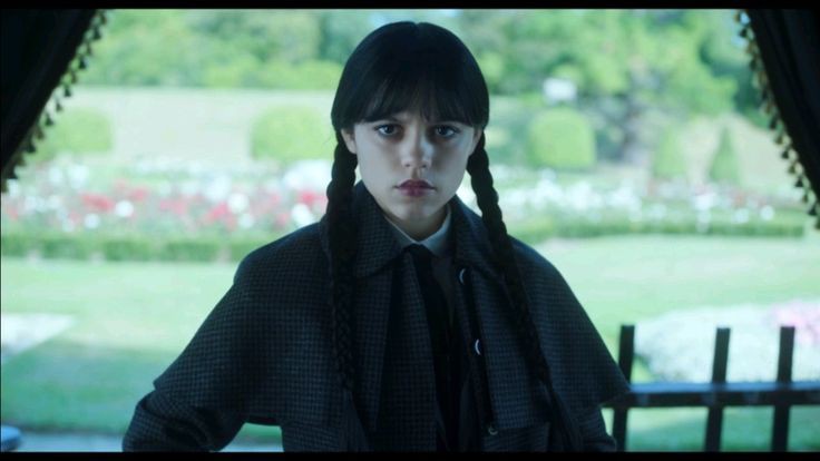 Wednesday Season 3 resmi berlanjut.(pinterest.com)