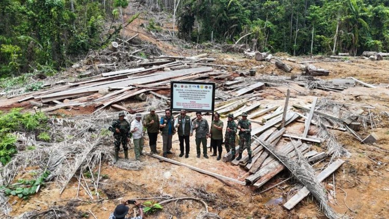 Salah satu wilayah hutan di Sumatera yang kayunya sudah ditebangi. (KEMENHUT)