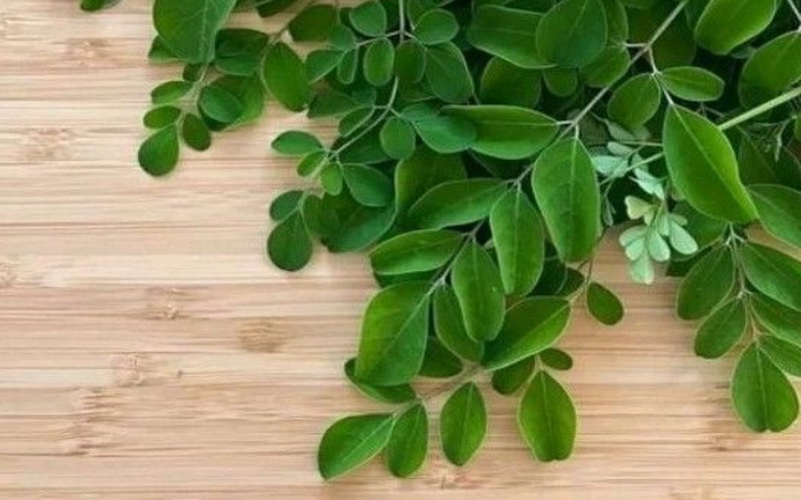 Begini cara mengolah daun kelor yang benar agar nutrisinya tetap utuh dan terserap optimal oleh tubuh.
