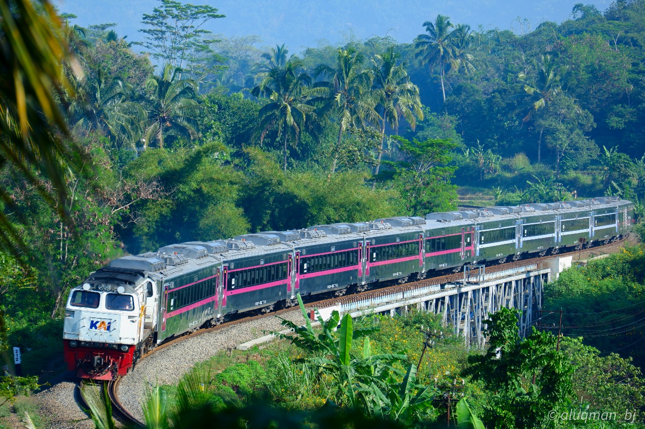 Rangkaian kereta api jarak jauh.