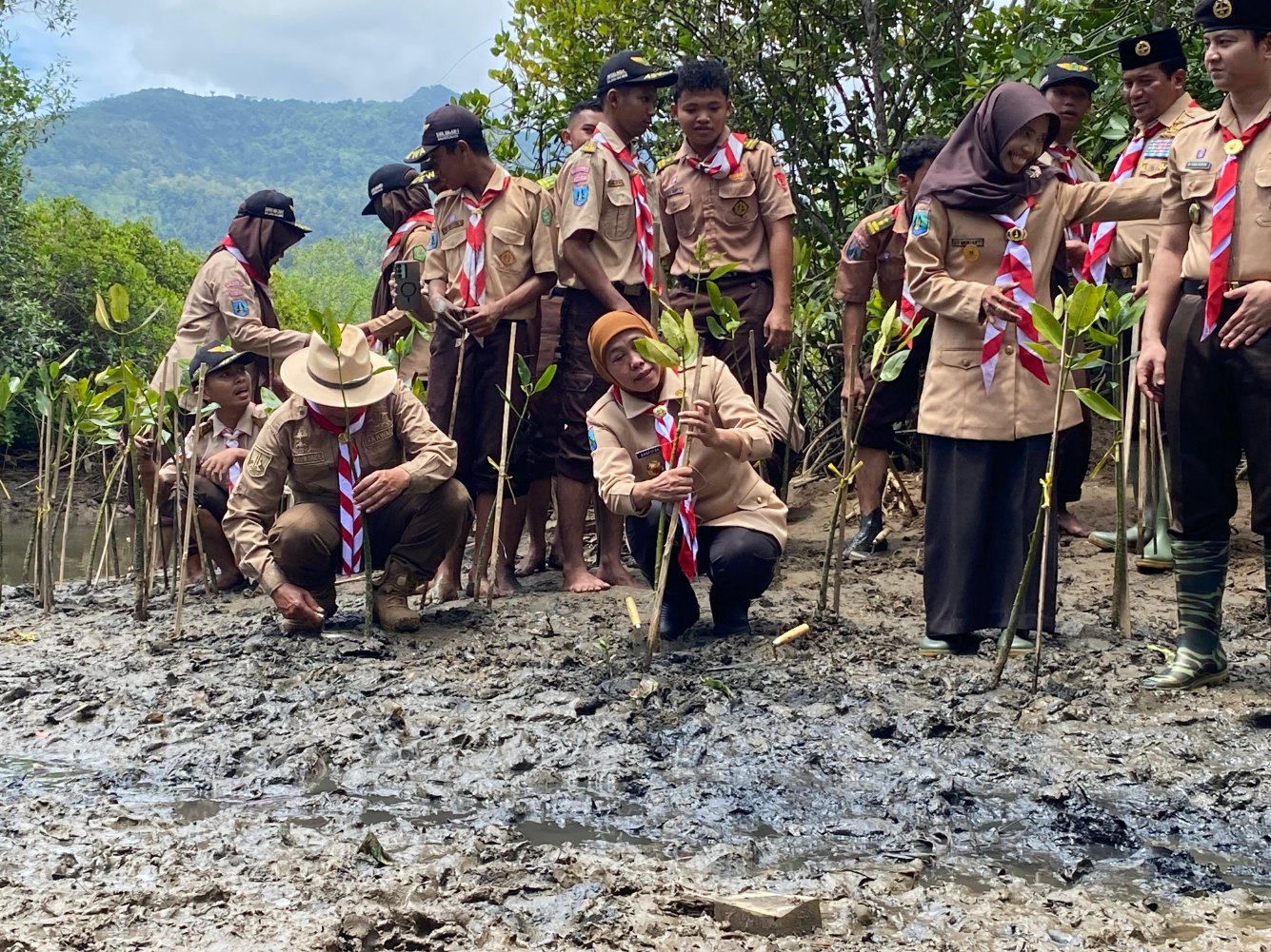 Gubernur Jawa Timur Khofifah Indar Parawansa menanam mangrove di Pantai Cengkrong Trenggale pada Kamis (4/12). (DR PERDANA/RADAR TULUNGAGUNG)