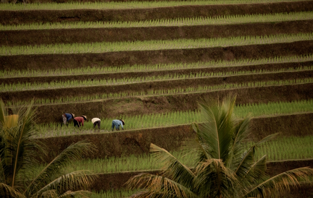 Liburan di sini tidak memaksa siapa pun untuk &ldquo;merayakan&rdquo;.Kamu bisa pergi ke pantai tanpa jadwal acara, duduk lama di tepi sawah