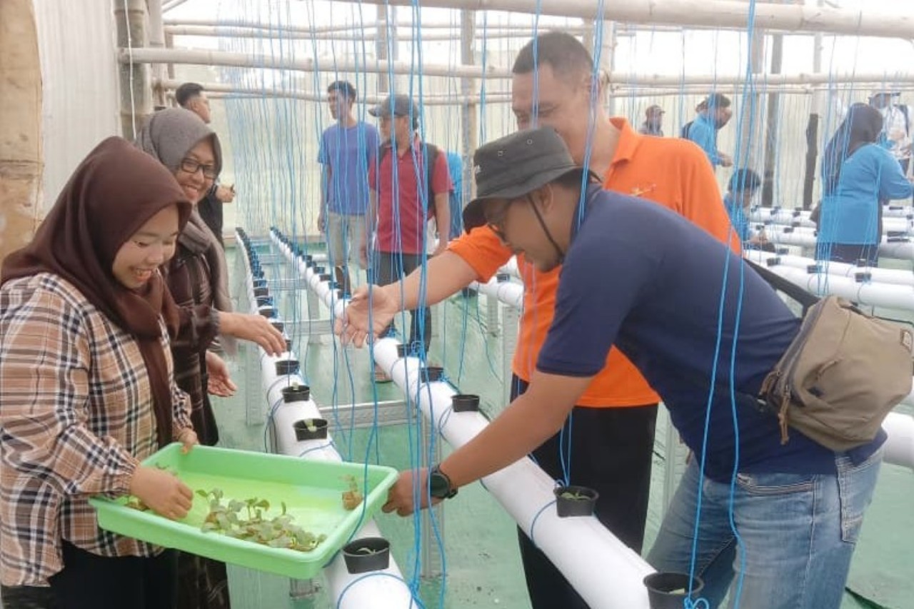 Proses penanaman melon secara hidroponik di Desa Tunggangri, Kecamatan Kalidawir.