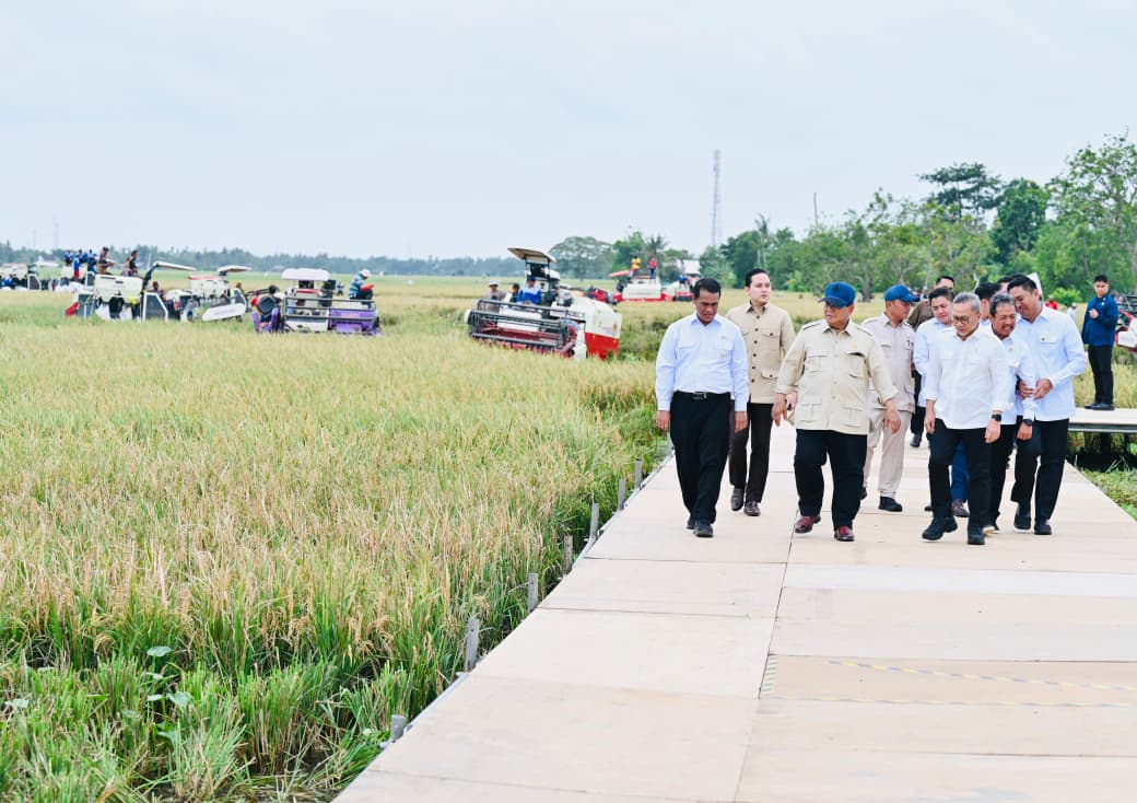 Presiden Prabowo meninjau panen padi di Karawang. (BPMI SETPRES)