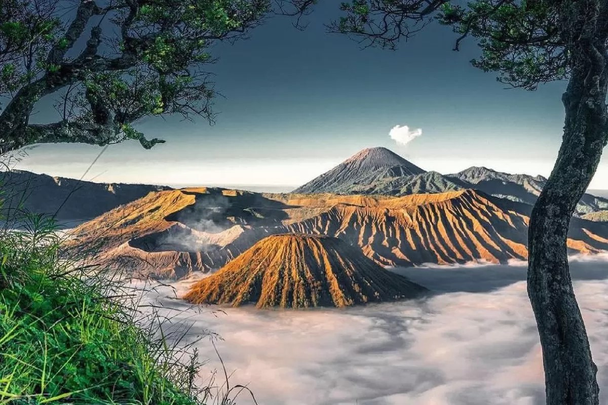 Penerapan aturan baru kunjungan wisata Gunung Bromo 2026.