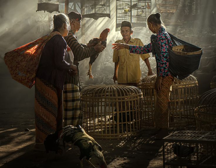 Weton Wage pembawa rezeki dipercaya terkait dengan hewan tertentu. Simak pitutur leluhur Jawa soal kunci kelancaran rezeki dan batin.