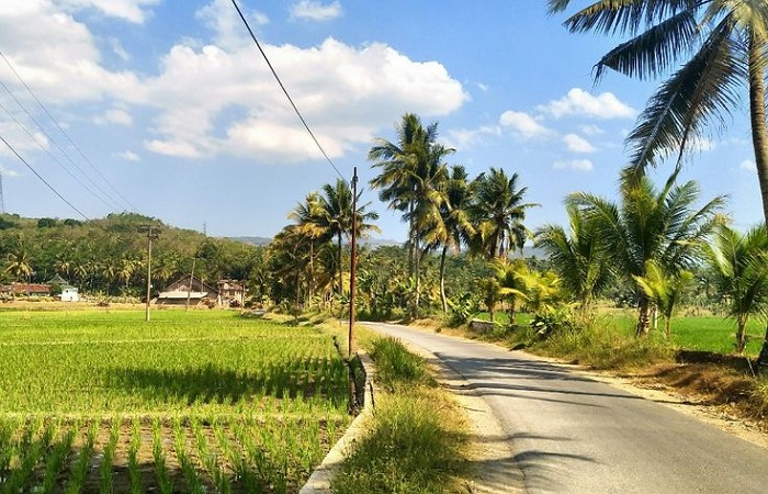 Dana Desa 2026 Lampung cair Rp1,98 triliun, turun dari 2025. Warga diminta ketat mengawasi di tengah maraknya korupsi dana desa.