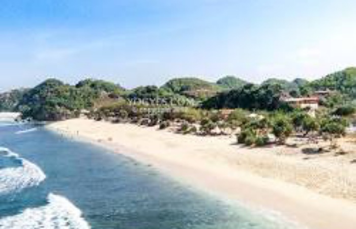 Hamparan pasir putih dan panorama laut selatan di Pantai Watu Kodok Gunung Kidul, destinasi favorit wisatawan untuk liburan dan camping akhir pekan.