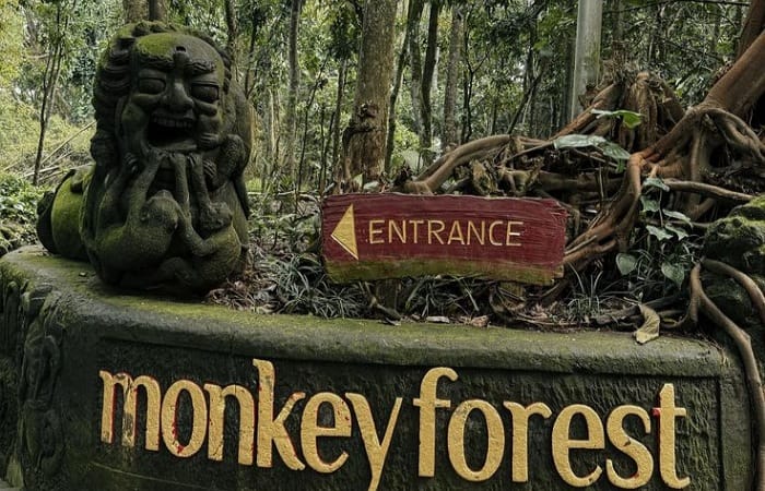 Suasana Ubud Bali terkini awal 2026 lebih lengang. Jalan Monkey Forest, Pasar Seni, hingga Gotama cocok untuk healing dan jalan santai.