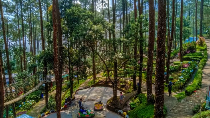 Wisata buatan Bantul makin hits, dari Hutan Pinus Pengger hingga Bendungan Kamijoro. Cek rekomendasi lengkapnya di sini