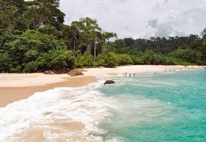 9 pantai di Banyuwangi wajib masuk wishlist! Dari Pantai Boom, Pulau Merah, G-Land, sampai Bangsring yang bisa berenang bareng hiu.