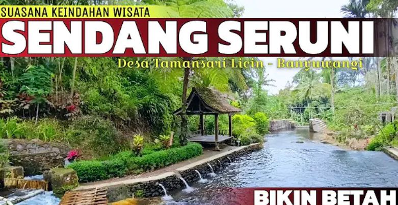 Wisata Sendang Seruni Banyuwangi di Licin: HTM Rp7.500, air jernih dari sumber, banyak gazebo, food court UMKM, vila & camping.