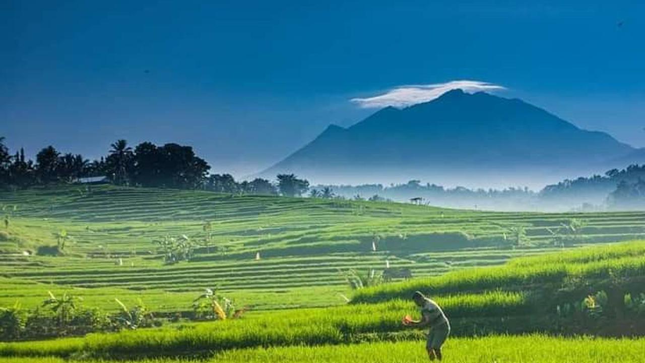 Larangan memakai baju hijau saat mendaki Gunung Lawu dipercaya berkaitan dengan mitos gaib dan alasan keselamatan pendakian.
