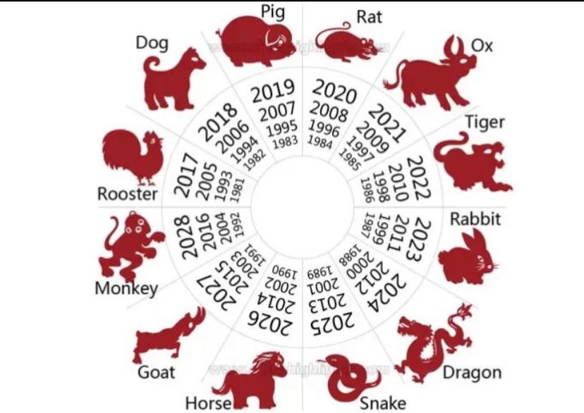 6 shio bakal kaya raya di tahun 2026 versi ramalan tarot! Ular, Anjing, Tikus, Kerbau, Kambing, Naga siap kebanjiran rezeki.