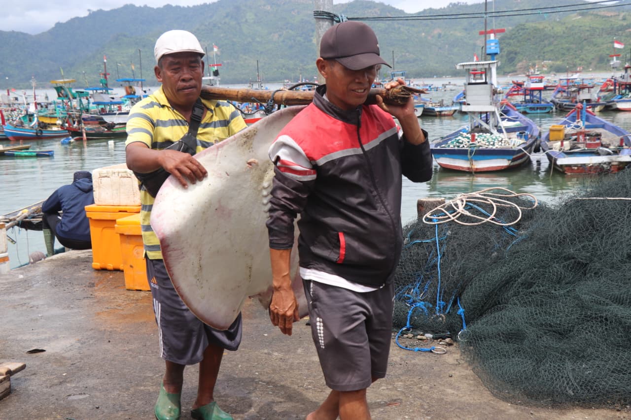 Para nelayan di pesisir pantai Popoh sedang membawa ikan hasil tangkapannya.(SANDY YUWANA/RADAR TULUNGAGUNG)