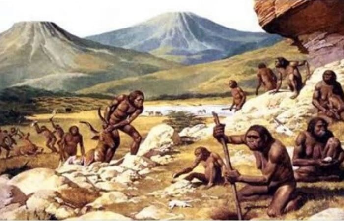 Homo Wajakensis di Tulungagung, fosil manusia purba 40 ribu tahun, temuan mendunia yang jadi cikal bakal ras Melayu Indonesia.