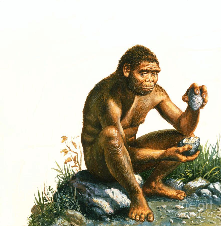 Pameran Jejak Prasejarah Jawa Timur hadirkan replika Homo wajakensis dan fosil Kendeng, edukasi sejarah untuk generasi muda.