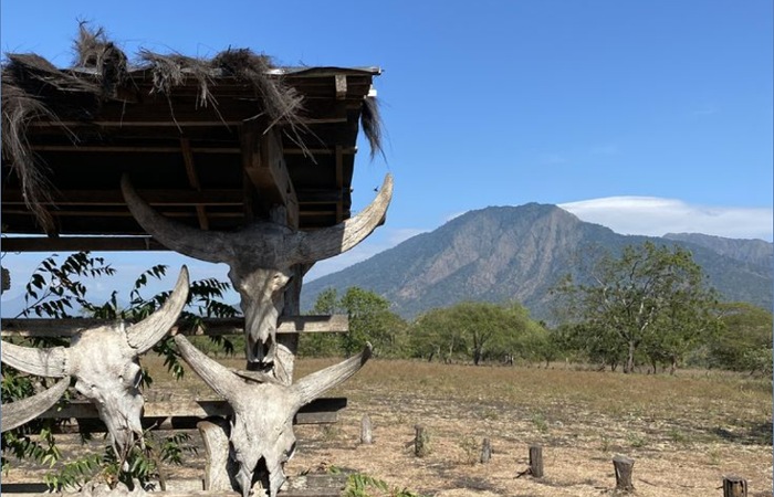 Legenda Banyuwangi kisah cinta tragis Surati dan Banterang yang melahirkan asal usul nama Banyuwangi penuh makna.