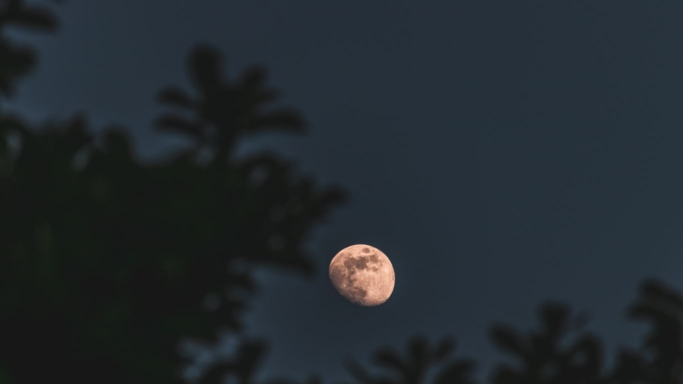Langit Indonesia akan kembali menghadirkan tontonan langka lewat gerhana bulan total 3 Maret 2026.(freepik.com/wirestock)