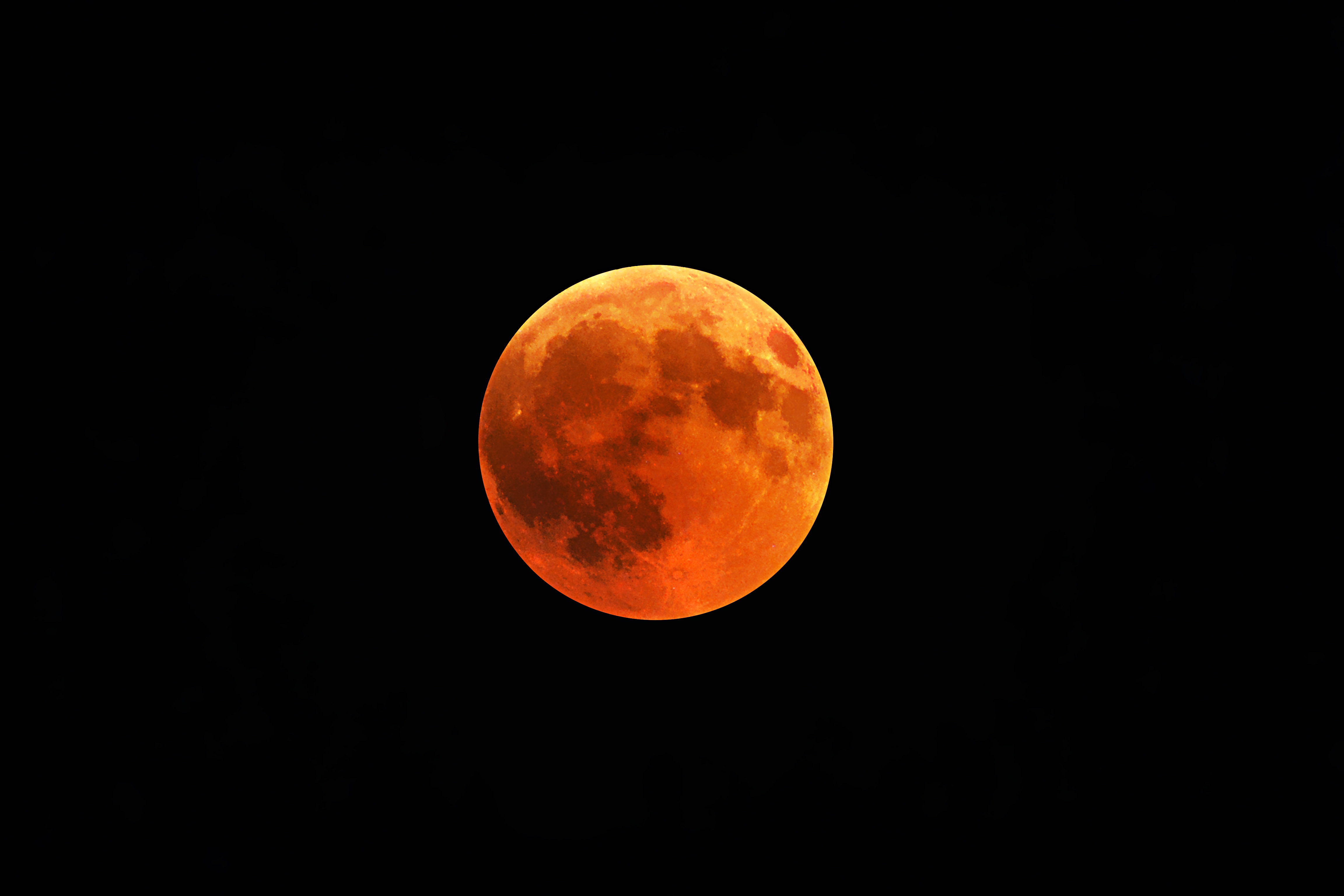 Gerhana bulan total akan kembali menghiasi langit Indonesia pada Selasa, 3 Maret 2026 (freepik.com/wirestock)