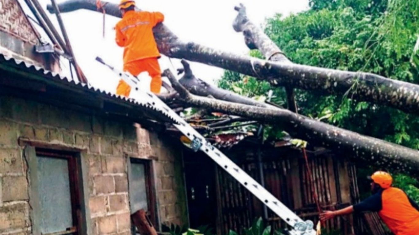 Personel gabungan menyingkirkan salah satu rumah warga Tulungagung yang tertimpa pohon tumbang akibat angin kencang pada Selasa (3/3/2026) lalu.(BPBD TULUNGAGUNG UNTUK RADAR TULUNGAGUNG)