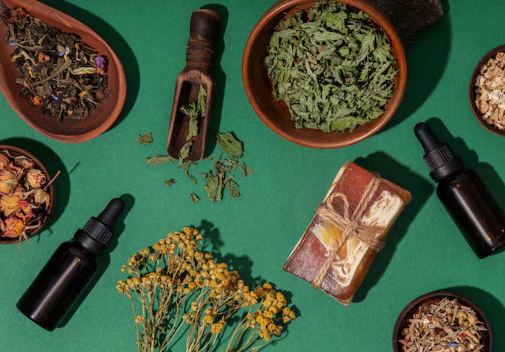 15 herbal alami untuk kesehatan seperti jahe, kunyit, hingga pala ternyata punya manfaat luar biasa bagi tubuh dan mudah ditemukan di dapur.