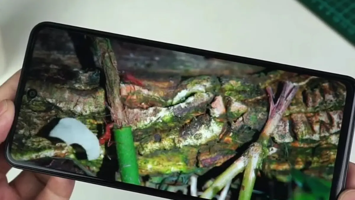 HP Oppo murah terbaik 2026 mulai 1 jutaan! Ini 5 rekomendasi dengan baterai besar, fast charging, dan layar 120Hz.