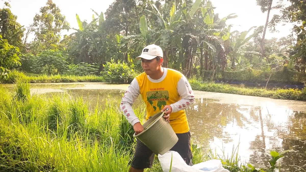 Kelvin melihat prospek cerah di budi daya ikan gurame yang membuatnya tergugah untuk terjun langsung.