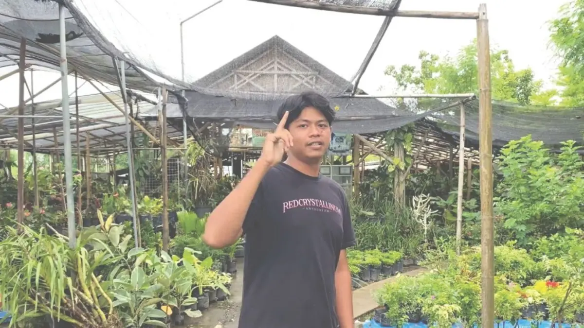 Arif melihat celah untuk meraup cuan melalui budi daya tanaman hias dengan memanfaatkan naungan sederhana.