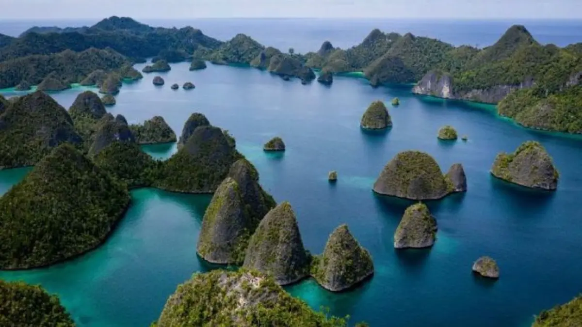 Indonesia adalah negara dengan kekayaan sumber daya alam terbesar di dunia. Simak potensi hutan, laut, dan energi yang jadi aset masa depan bangsa. (pinterest)