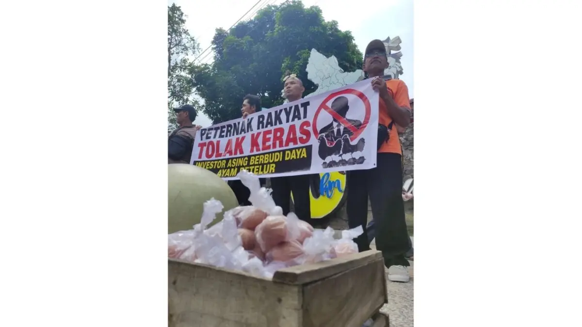 Peternak lokal Tulungagung menggelar aksi damai sambil membagikan telur di kawasan O kilometer pada Sabtu (16/5/2026). Mereka memprotes isu kebijakan Kadin pusat menggandeng investor Tiongkok.