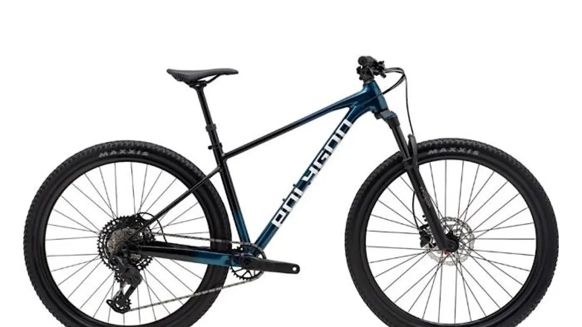 Daftar harga e-bike Polygon di Rodalink Serpong mulai Rp17 jutaan hingga Rp115 juta, lengkap dari Kalosi sampai Colossus TLE.(pinterest)